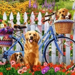 500-Piece Puzzle: Doggy Adventure