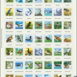 LARSEN Birds puzzle – educational framed puzzle, 49 pieces