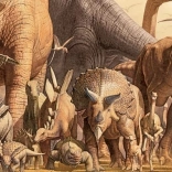 Panoramic Puzzle Dinosaurs 1000 Pieces