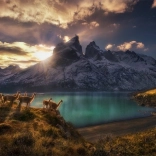 Puzzle Chile Lamy Guanako 1000 pieces