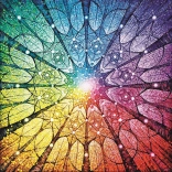 Mandala of Life Puzzle 1023 Pieces MAGNOLIA