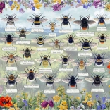 Gibsons Puzzle Brilliant Bees 1000 Pieces