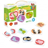 Alexander ontdekken voor de allerkleinsten – halve kaartjes