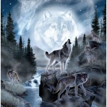 Puzzle Moon Wolf 500 Pieces