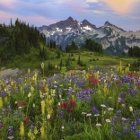 Puzzle 2000 Pieces - Tatoosh Mountains