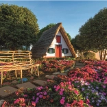 Educa Puzzle Santana, Madeira 1500 Pieces