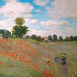 Puzzle EUROGRAPHICS Poppies 1000 pieces