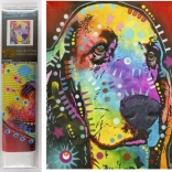 Diamantschilderen 7D – hondenblik 30 × 40 cm