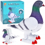 Interactive Plastic Pigeon