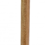 Pencil with Mouse Head