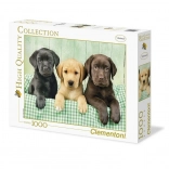 Puzzel 1000 stukjes Drie Labradors