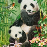 Castorland Puzzle Panda Brunch 300 pieces