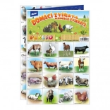 Pexeso Domestic Animals