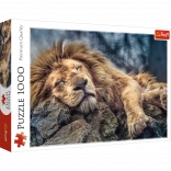 Puzzle 1000 Pieces Sleeping Lion