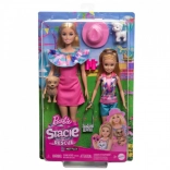 Barbie and Stacie – doll set with puppies and summer accessories