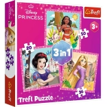 Puzzle 3-in-1 – Beautiful Flowers – DISNEY PRINCESS Trefl