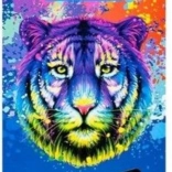 Triangular Colored Pencils Triocolor 36 pcs by KOH-I-NOOR - Tiger