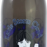 Drinking Bottle Wednesday 660 ml