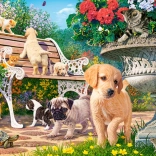 Hide and Seek 100-Piece Puzzle