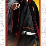 Puzzle HARRY POTTER – Ron, 300 pieces