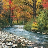 EUROGRAPHICS Puzzle Forest Stream 1000 pieces