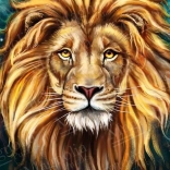 Lion puzzle 1000 pieces MAGNOLIA