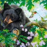 500-piece Puzzle – Bear Wish I Could Fly