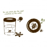 Navir Explora grote beker voor het observeren van insecten