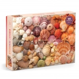 Puzzle Radiant Shells 1000 Pieces