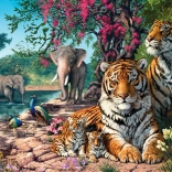 Tiger Refuge Puzzle 300 Pieces
