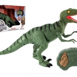 Walking Dinosaur Velociraptor with Remote Control