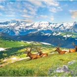 Deer in the Mountains Puzzle 1000 pieces EUROGRAPHICS