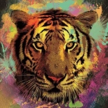 Tiger Puzzle 150 Pieces