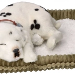 Realistic Breathing Dalmatian PERFECT PETZZZ for Adoption