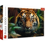 1000-Piece Puzzle – Wild Tiger