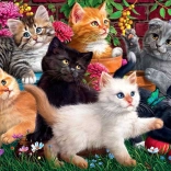 Playful Kittens Puzzle 260 pieces