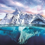 Puzzle EUROGRAPHICS Save Our Planet: Arctic 1000 pieces