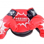 Boxing Set with Gloves and Punch Pad