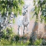 Peinture diamant cheval blanc 30 × 40 cm