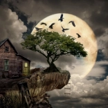 Puzzle ENJOY hytte på klippen 1000 brikker