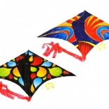 Flying kite