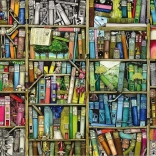 Ravensburger Puzzle Bizarre Library 1000 Pieces