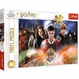 HARRY POTTER Puzzle – 300 pieces