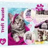 Trefl Cute Kittens 160-Piece Puzzle