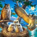 Puzzle 180 pieces – Owl Family
