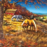 Puzzle COBBLE HILL Meeting on the Slope 2000 Pieces