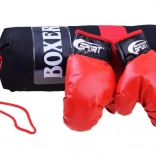 boxing set with gloves and punching bag