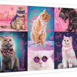 Puzzle Neon Color Line - Super Cats 1000 pieces