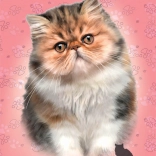 Persian Cat Puzzle 100 Pieces