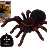 Zábavný zdaleka ovládaný pavouk Tarantula